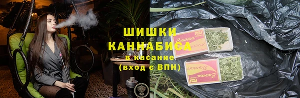 PSILOCYBIN Алзамай